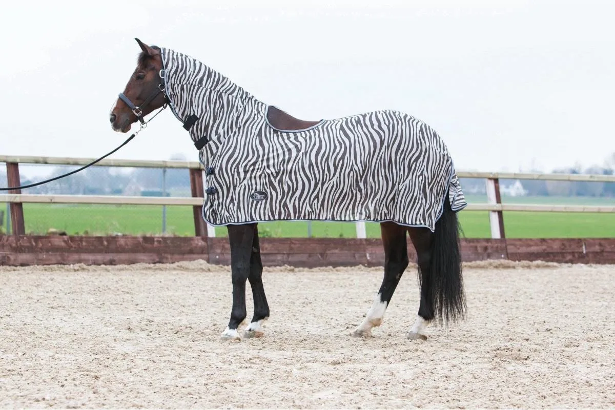 Harry Horse Vliegenrijdeken - maat 165 de Harry's Horse en Zebra – photo produit