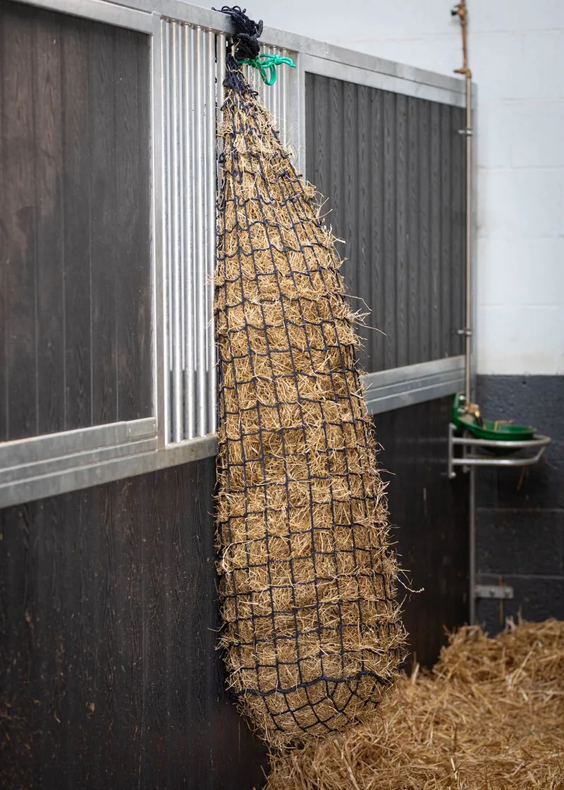 Heavy Duty 50x180 Cm Hooinet Bruin by Harry's Horse in Bordeaux – product photo