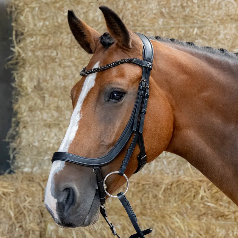 Hoofdstel Anatomic Black Crystal von Harry's Horse in Schwarz – Produktfoto