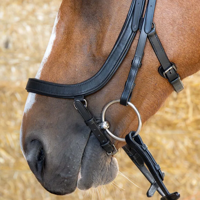 Hoofdstel Anatomic Black Crystal by Harry's Horse in Black – product photo