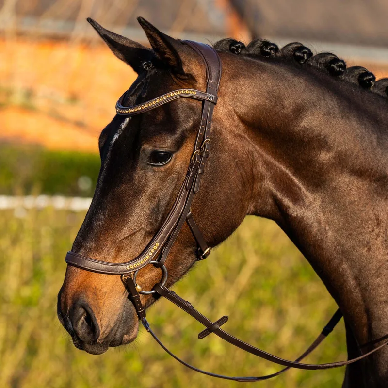Hoofdstel Anatomic Gold | Pony von Harry's Horse in Braun – Produktfoto
