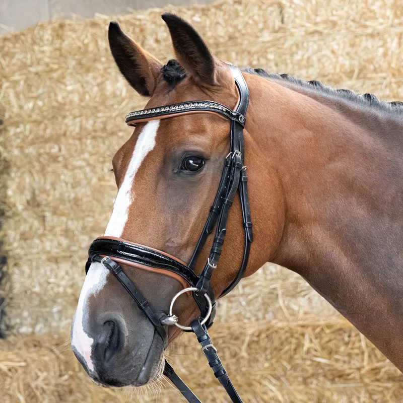 Hoofdstel Black Cognac by Harry's Horse in Black – product photo