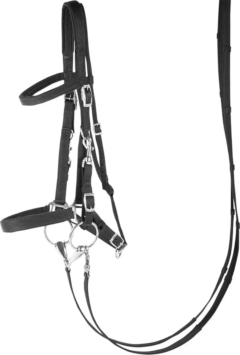 Hoofdstel/Halster - pony by Harry's Horse in Black – product photo