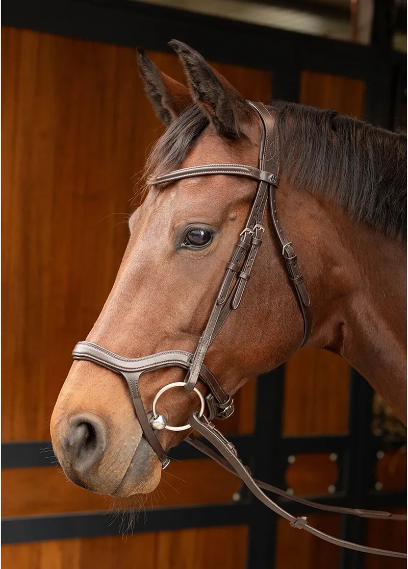 Hoofdstel Harry's Horse Anatomic de Harry's Horse en Marron – photo produit