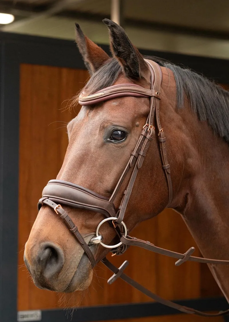 Hoofdstel Harry's Horse Bombastic by Harry's Horse in Brown – product photo