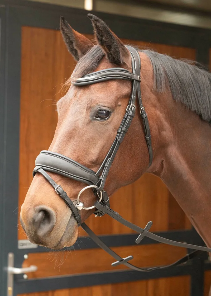 Hoofdstel Harry's Horse Bombastic van Harry's Horse in Zwart – productfoto