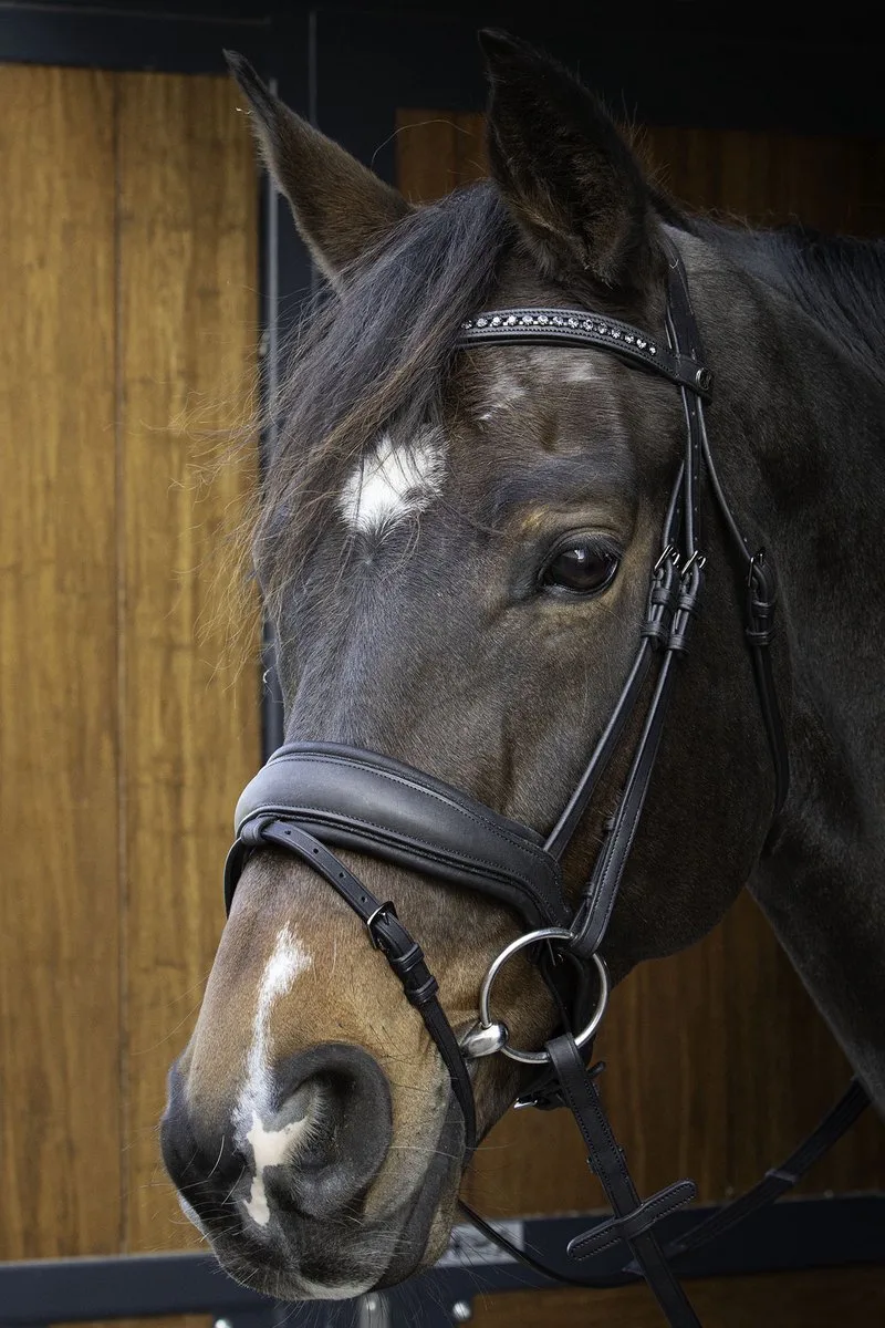 Hoofdstel Harry's Horse Soft Bombastic Black Edition by Harry's Horse in Black – product photo