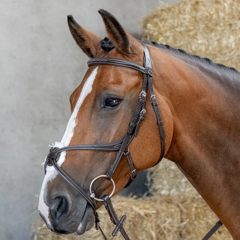 Hoofdstel Mexicaans Anatomic by Harry's Horse in Brown – product photo