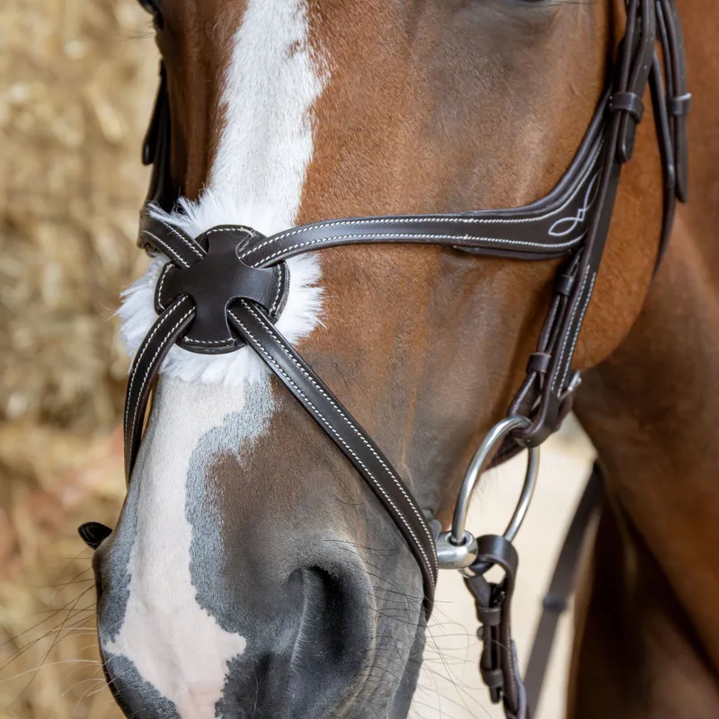 Hoofdstel Mexicaans Anatomic fra Harry's Horse i Sort – produktbillede