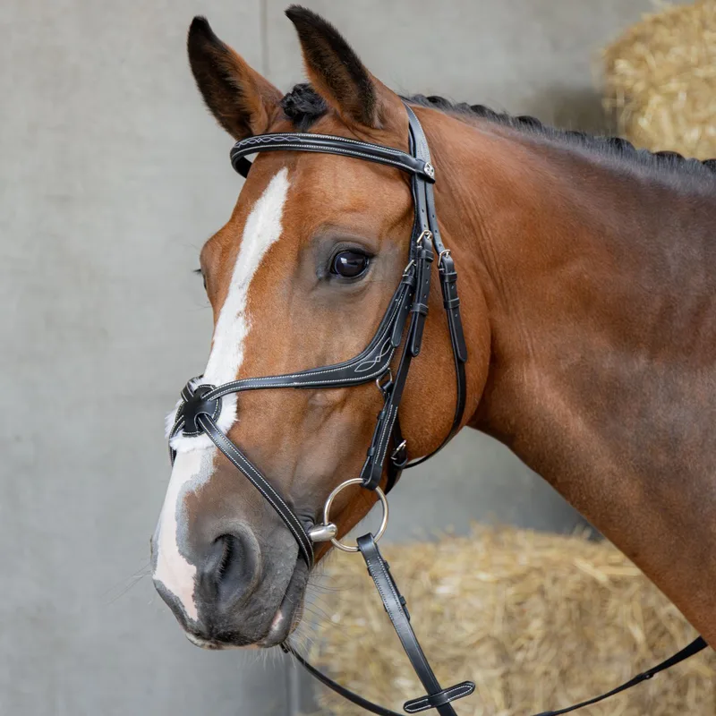 Hoofdstel Mexicaans Anatomic de Harry's Horse en Noir – photo produit