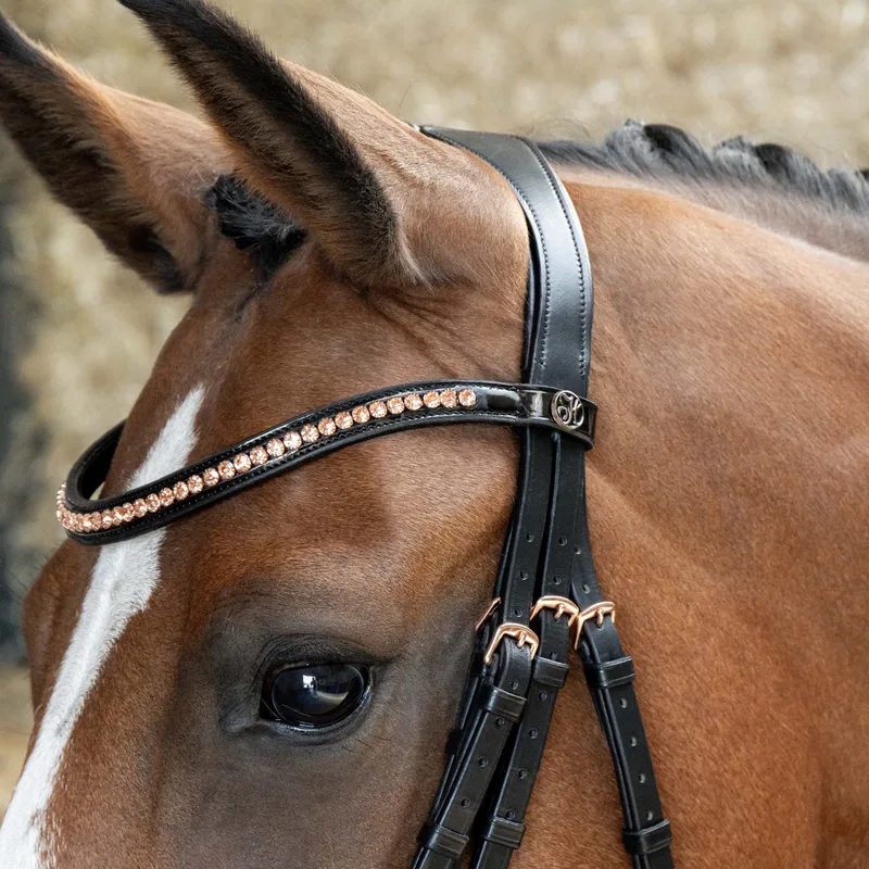 Hoofdstel S&T Soft Rosegold by Harry's Horse in Black – product photo