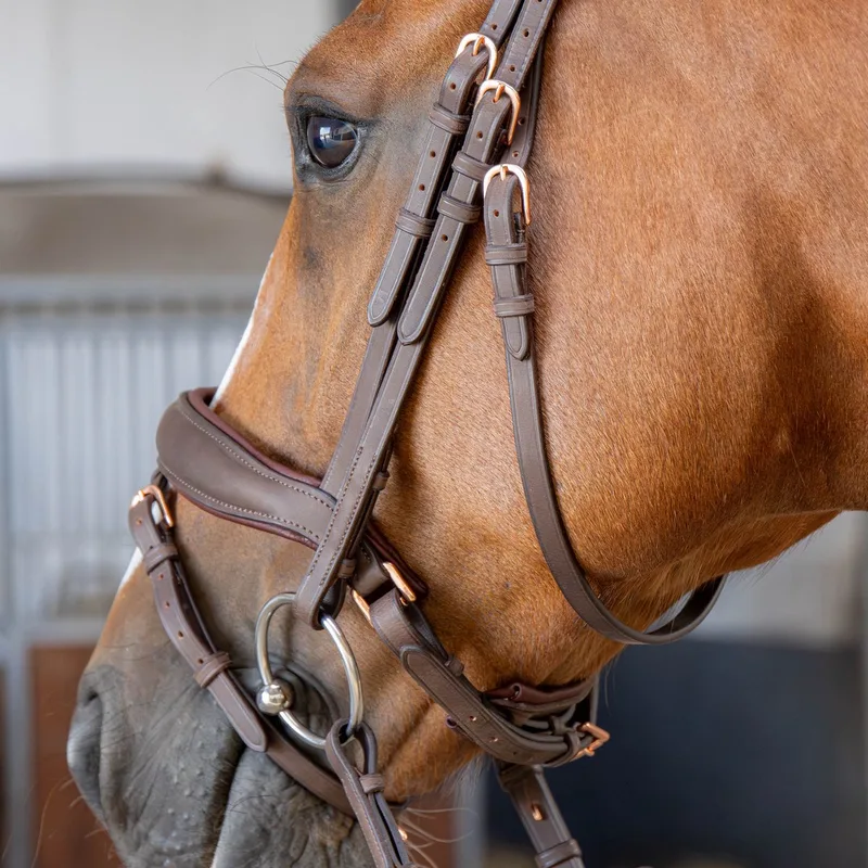 Hoofdstel Soft Bombastic Crystals by Harry's Horse in Brown – product photo