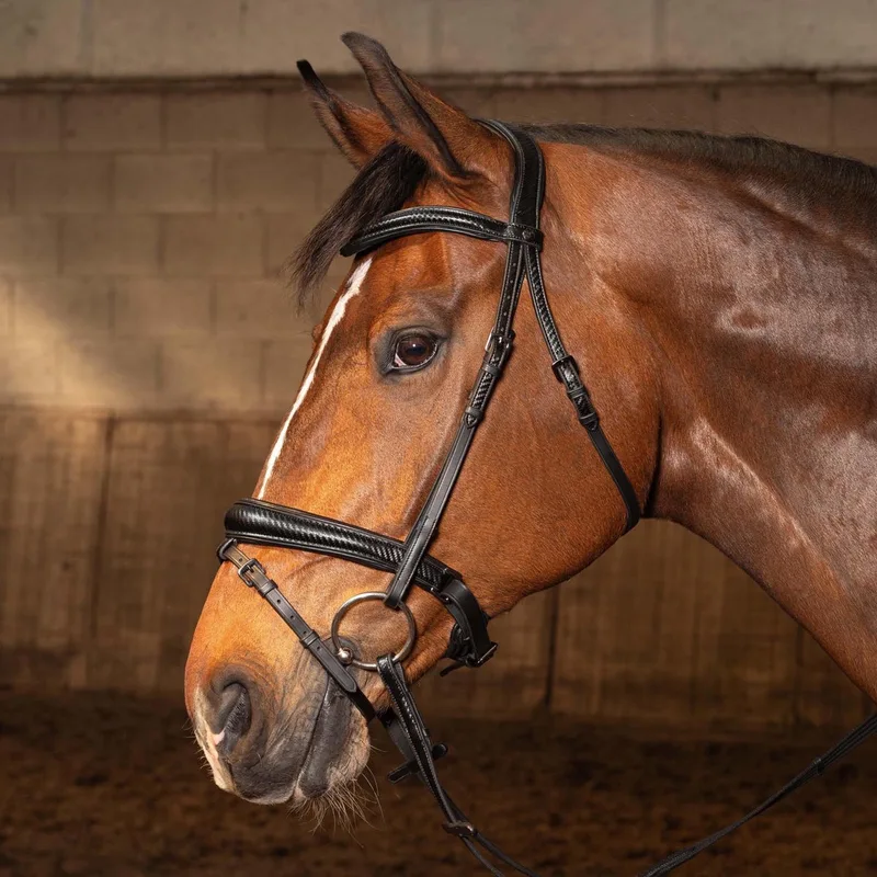 Hoofdstel Soft Carbon Black Edition fra Harry's Horse i Sort – produktbillede