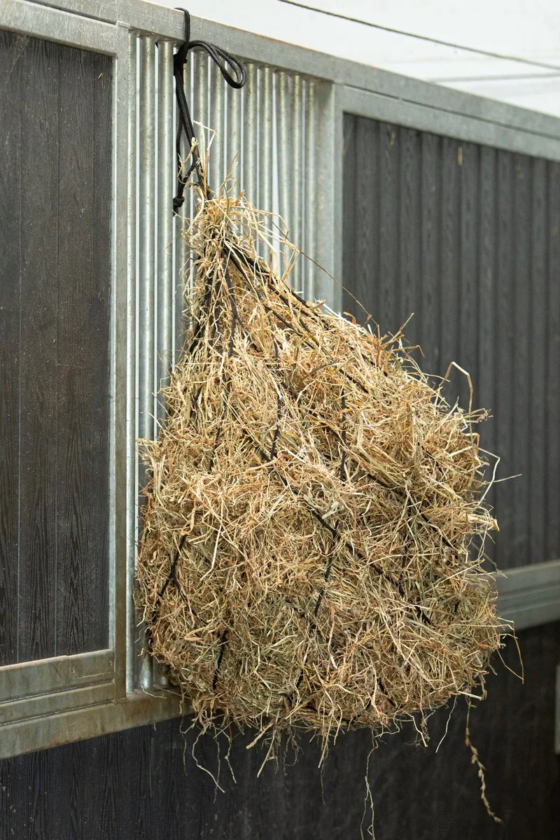 Hooinet Knotless 14cm de Harry's Horse en Noir – photo produit