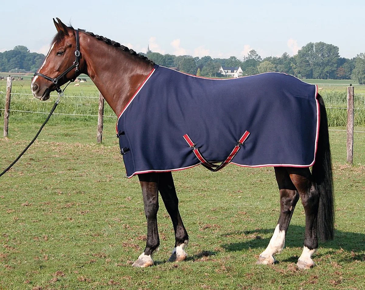 Jersey cooler deken 175cm de Harry's Horse en Noir – photo produit