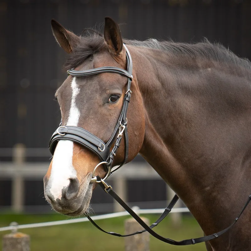 Kaptoom Hoofdstel - Leder Comfort - Maat Full de Harry's Horse en Noir – photo produit