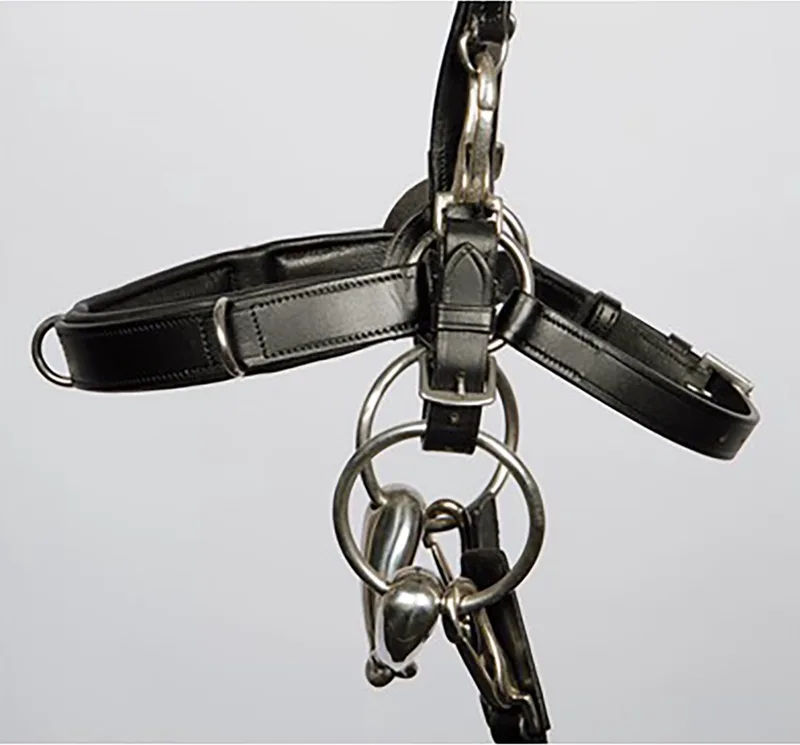 Kaptoom Hoofdstel - Leder - Maat Pony by Harry's Horse in Black – product photo