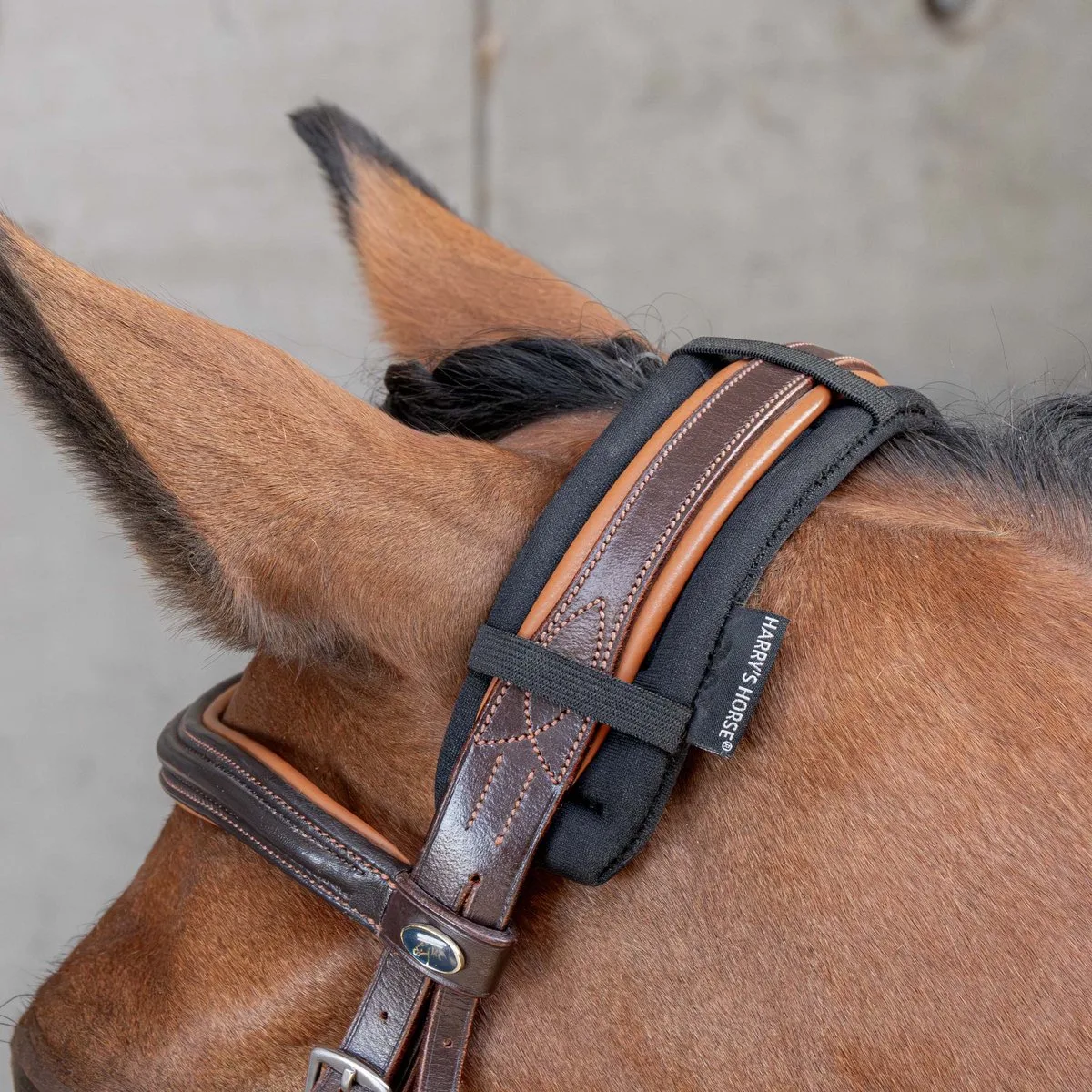 Kopstukbeschermer Harry's Horse Neopreen van Harry's Horse in Zwart – productfoto