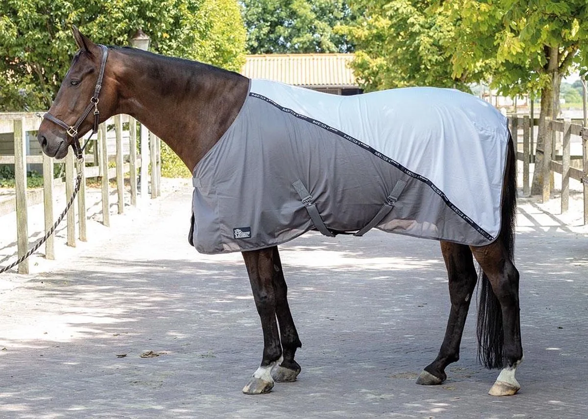 Mesh-Pro deken van Harry's Horse in Wit – productfoto