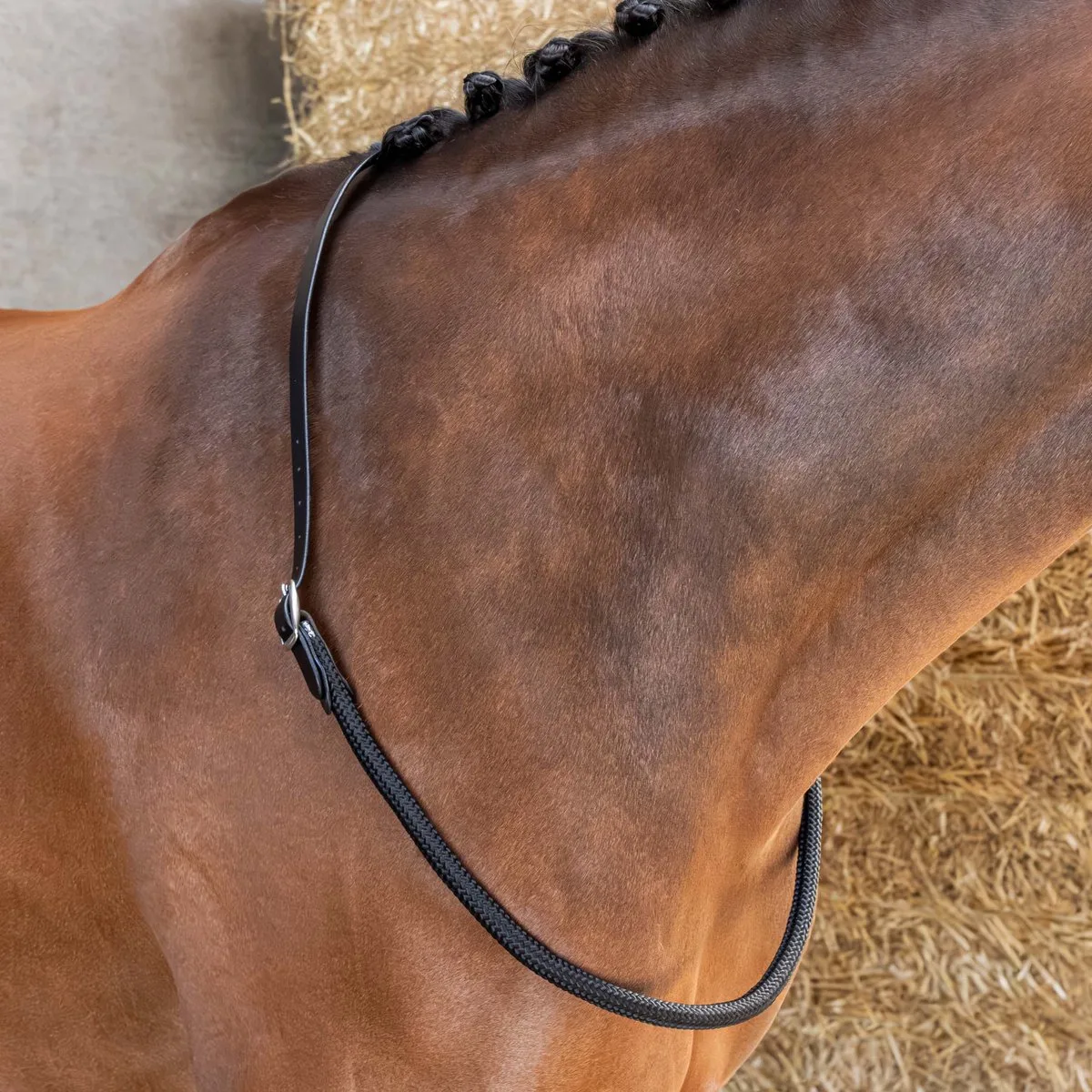 Neckrope Balancer van Harry's Horse in Zwart – productfoto