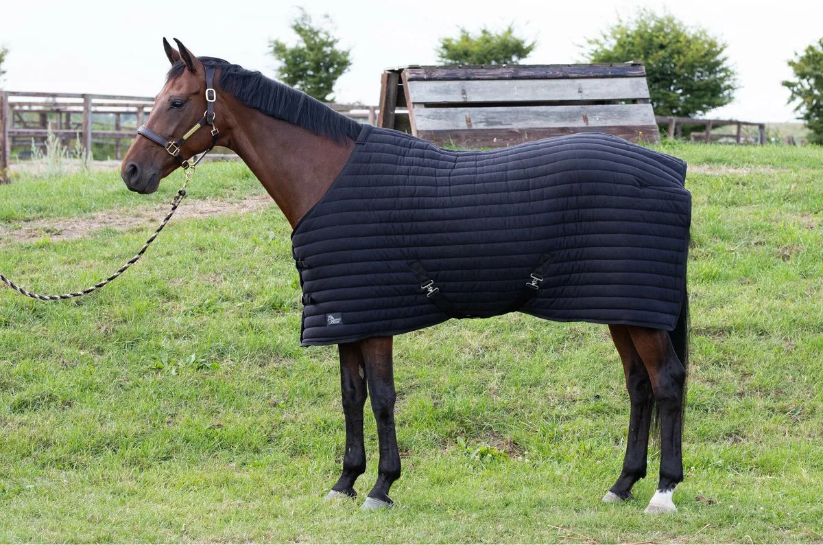 Onderdeken Harry's Horse Powerliner 200gr - 155/205 de Harry's Horse en Noir – photo produit