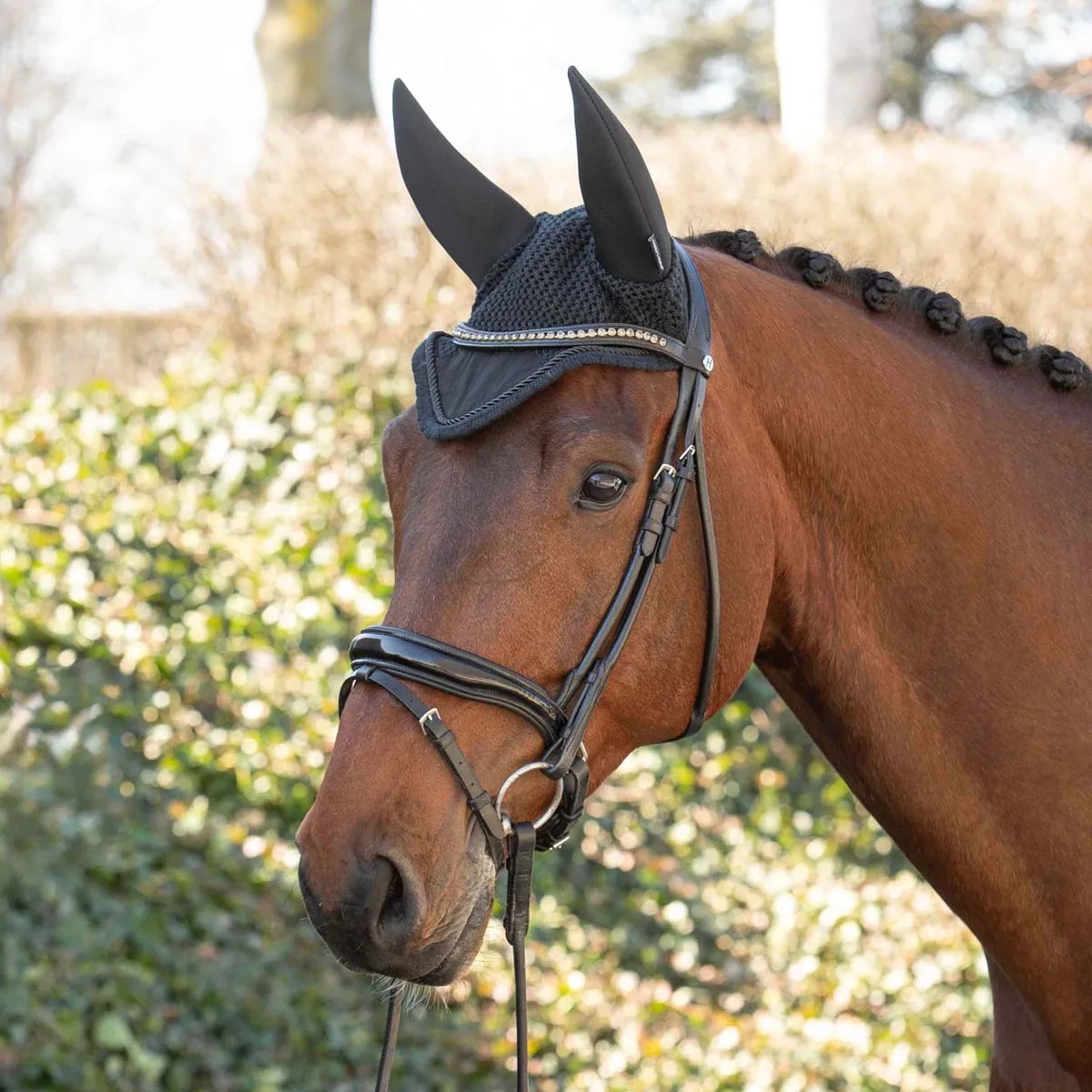 Oornetje Silencer van Harry's Horse in Zwart – productfoto