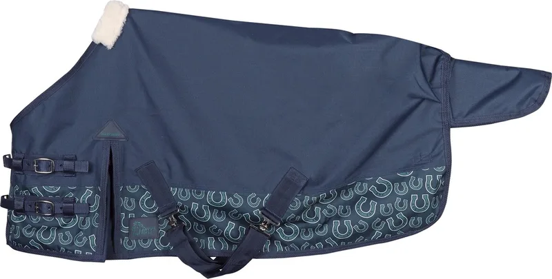 Outdoordeken STOUT! - 200 Gram - Maat 135 by Harry's Horse in Teal – product photo