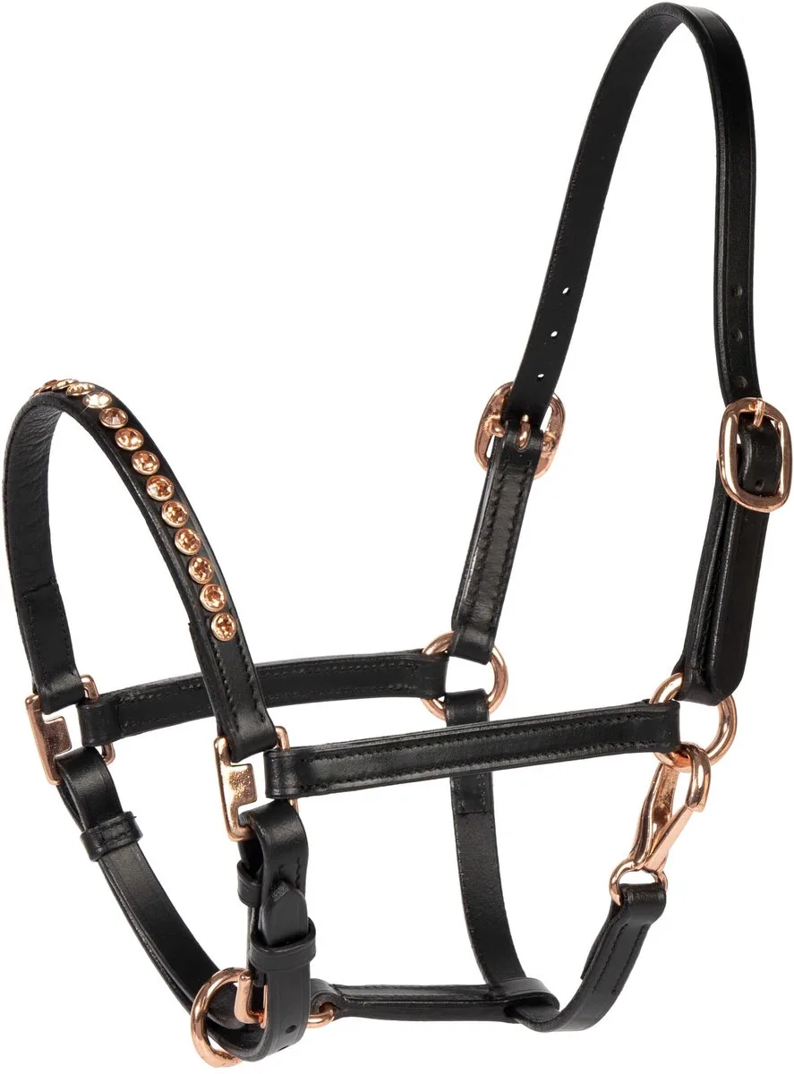 Pony/Veulenhalster Leder Crystal Rosegold Zwart - Uni | Zwart | Halstertouw paard de Harry's Horse en Noir – photo produit