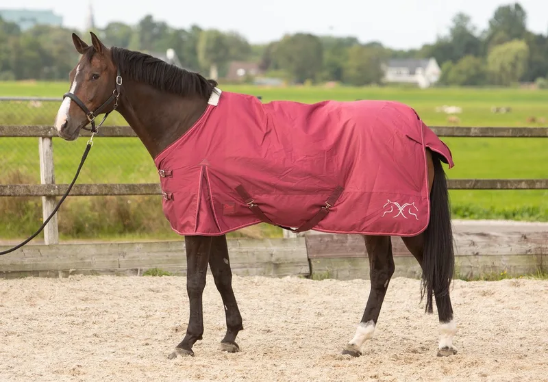 Regendeken 0gr Thor fleece Rhododendron-195 von Harry's Horse in Rhododendron – Produktfoto