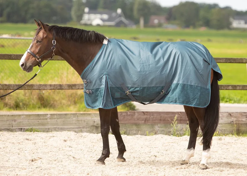 Regendeken 0gr Thor Orion-blue-185 by Harry's Horse in Orion-blue – product photo