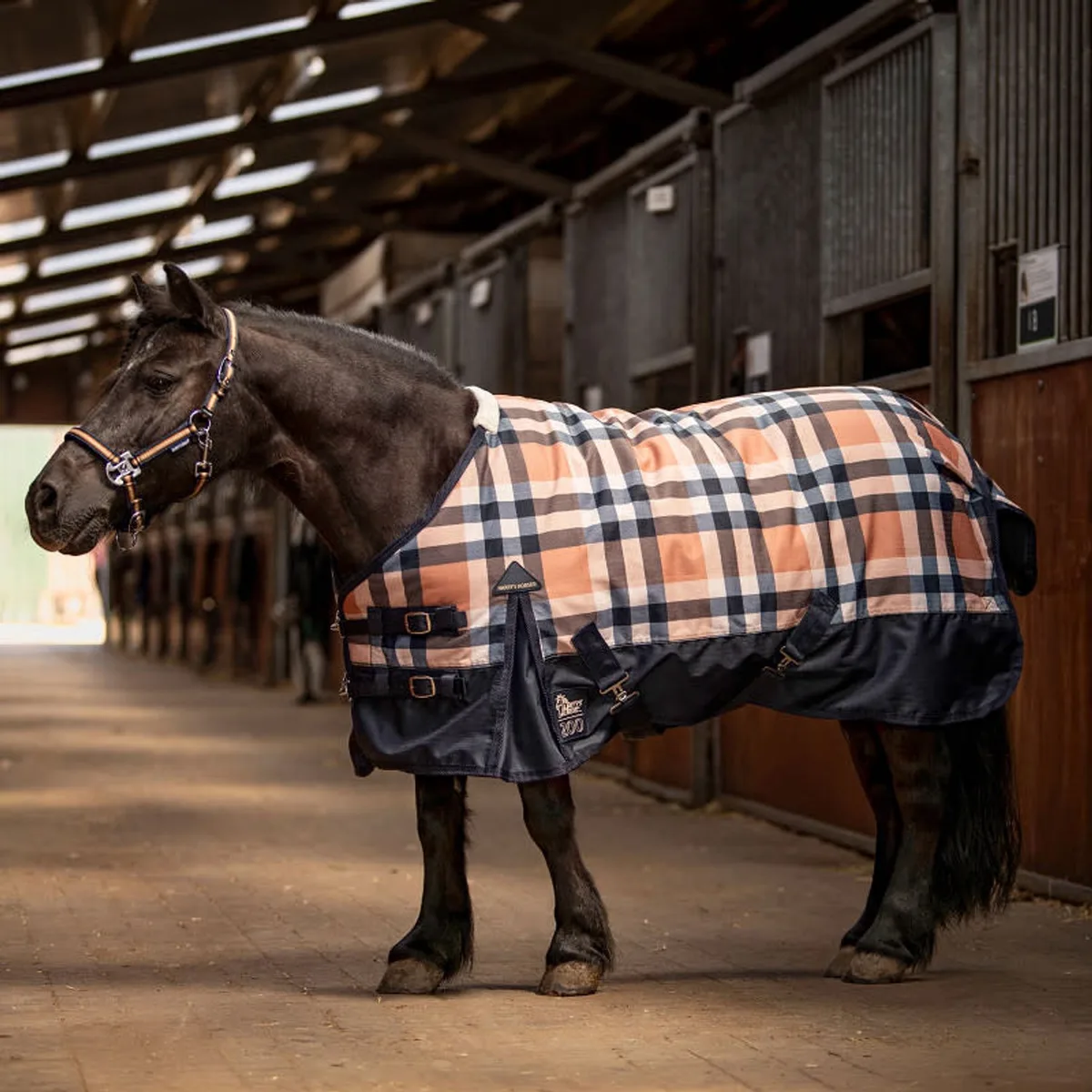 Regendeken 200gr STOUT! Maverick Total-Eclipse - 125 - Onderdeken van Harry's Horse in Meerkleurig – productfoto