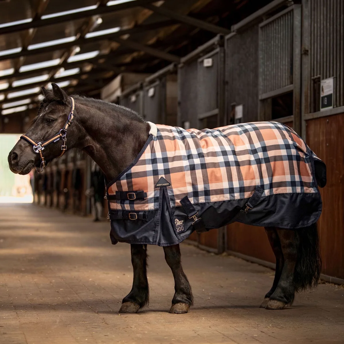 Regendeken 200gr STOUT! Maverick van Harry's Horse in Total-eclipse – productfoto