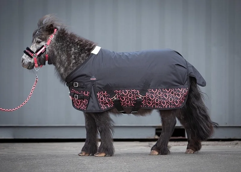 Regendeken STOUT! Coral 200gr Black - 95 - Regendeken by Harry's Horse in Black – product photo