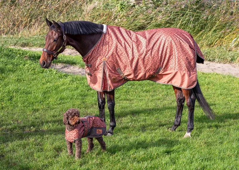 Regendeken Thor 0gr Fleece WI24 by Harry's Horse in Orange – product photo