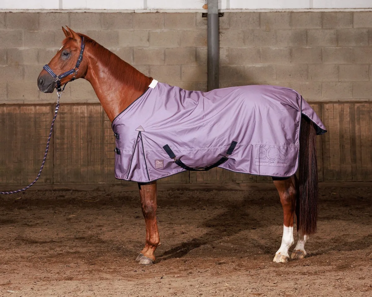 Regendeken Thor 0gr Fleece WI26 fra Harry's Horse i Flint – produktbillede