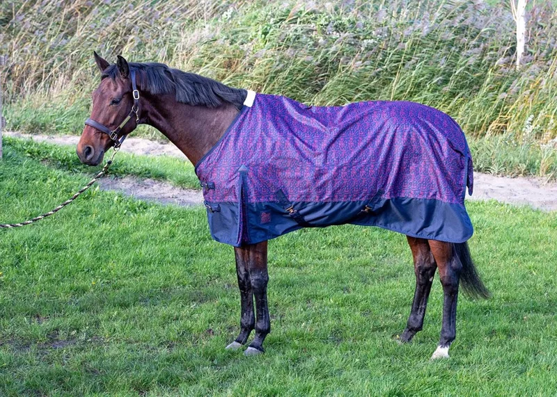Regendeken Thor 0gr WI24 de Harry's Horse en Bleu – photo produit