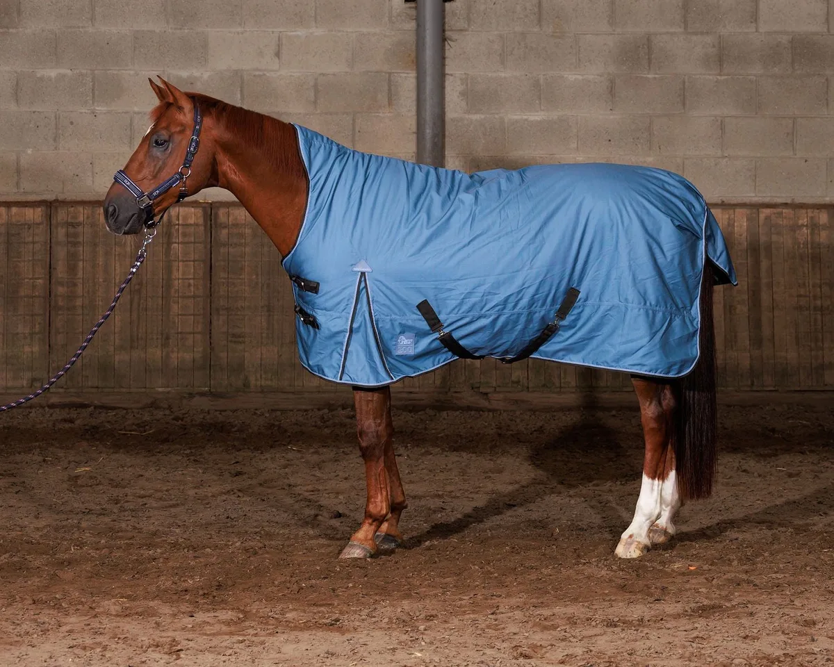 Regendeken Thor 200 Highneck WI26 de Harry's Horse en Flint-stone – photo produit