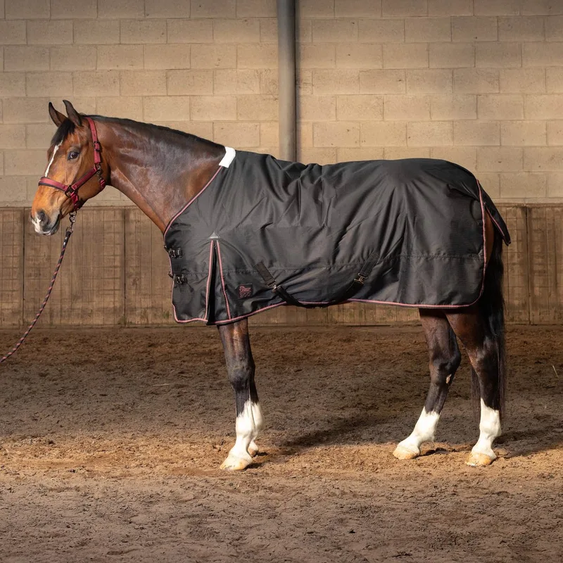 Regendeken Thor 200 WI25 by Harry's Horse in Black – product photo