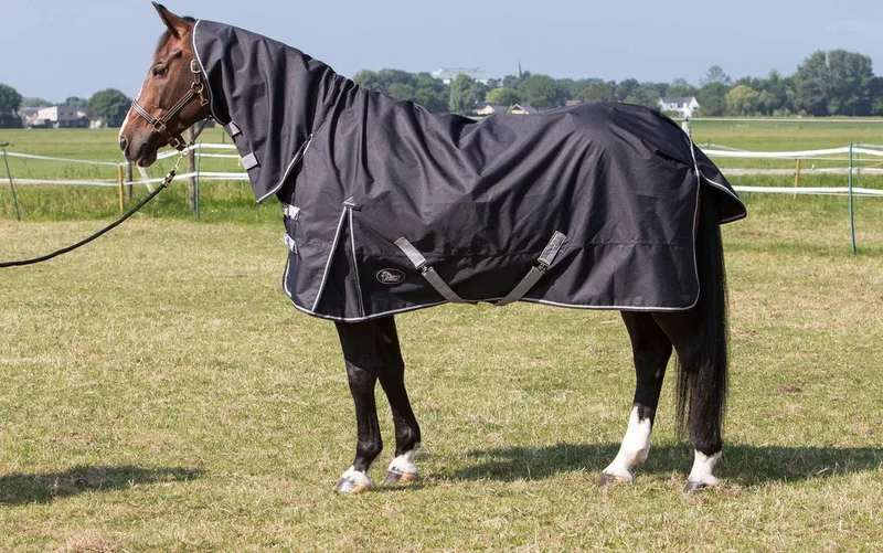 Regendeken Thor Stretch Limo - Paardendeken - 185 von Harry's Horse in Blau – Produktfoto