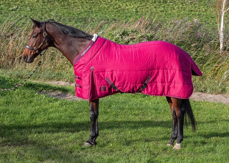 Staldeken Harry's Horse Highliner 200gr de Harry's Horse en Donkerrood – photo produit