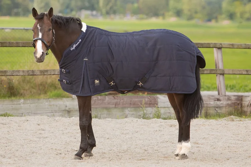 Staldeken Harry's Horse Highliner 300gr - 165/215 von Harry's Horse in Dunkelblau – Produktfoto