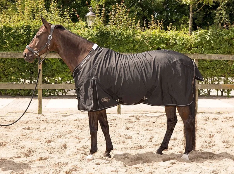 Staldeken Highliner 0gr fleece voering 155cm von Harry's Horse in Schwarz – Produktfoto