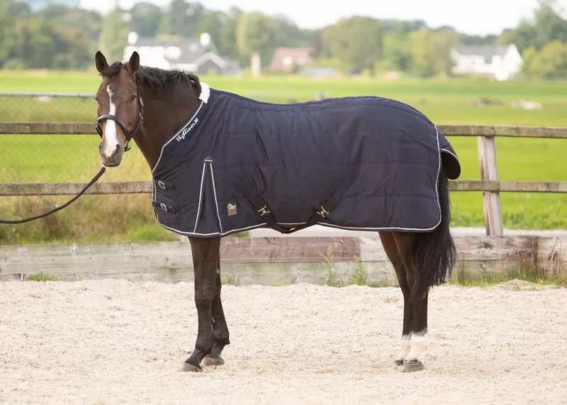 Staldeken Highliner 200 - 155cm - Regendeken | Staldekens paard by Harry's Horse in Dark blue – product photo
