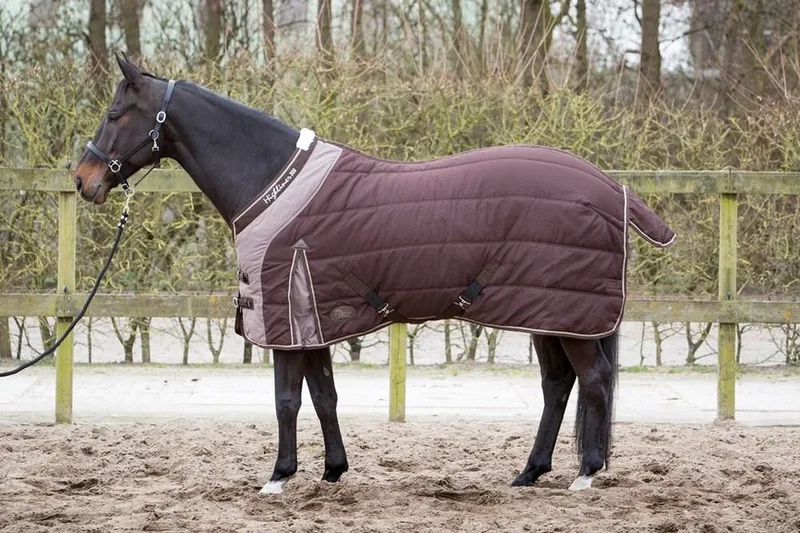 Staldeken Highliner 300 Brown paardendeken - maat 175 de Harry's Horse en Marron – photo produit
