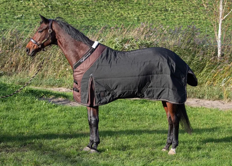 Staldeken Highliner 300gr black WI24 by Harry's Horse in Black – product photo
