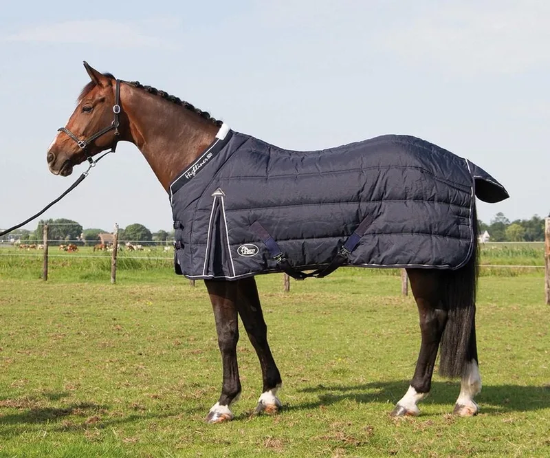 Staldeken Highliner 500 205cm navy by Harry's Horse in Black iris – product photo
