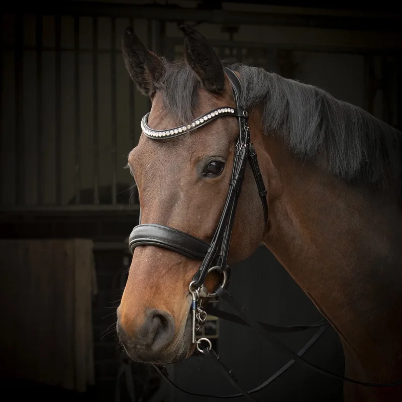 Stang En Trens Harry's Horse Weymouth Soft Crystal de Harry's Horse en Noir – photo produit
