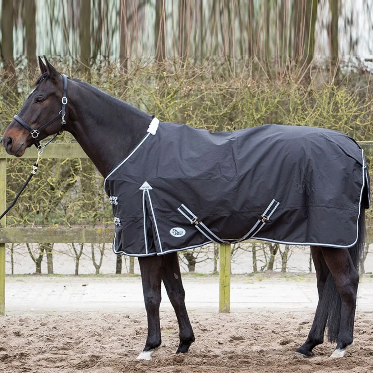 Thor 0 Gram Fleece - Zwart/turquoise - 175 cm van Harry's Horse in Zwart – productfoto