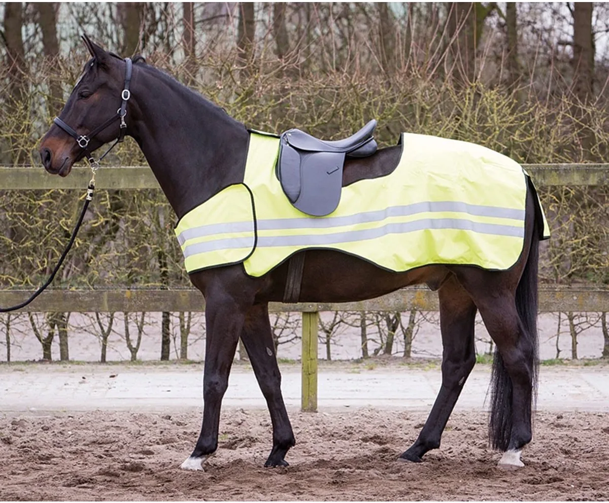Uitrijdeken Reflective - l de Harry's Horse en Reflectie – photo produit