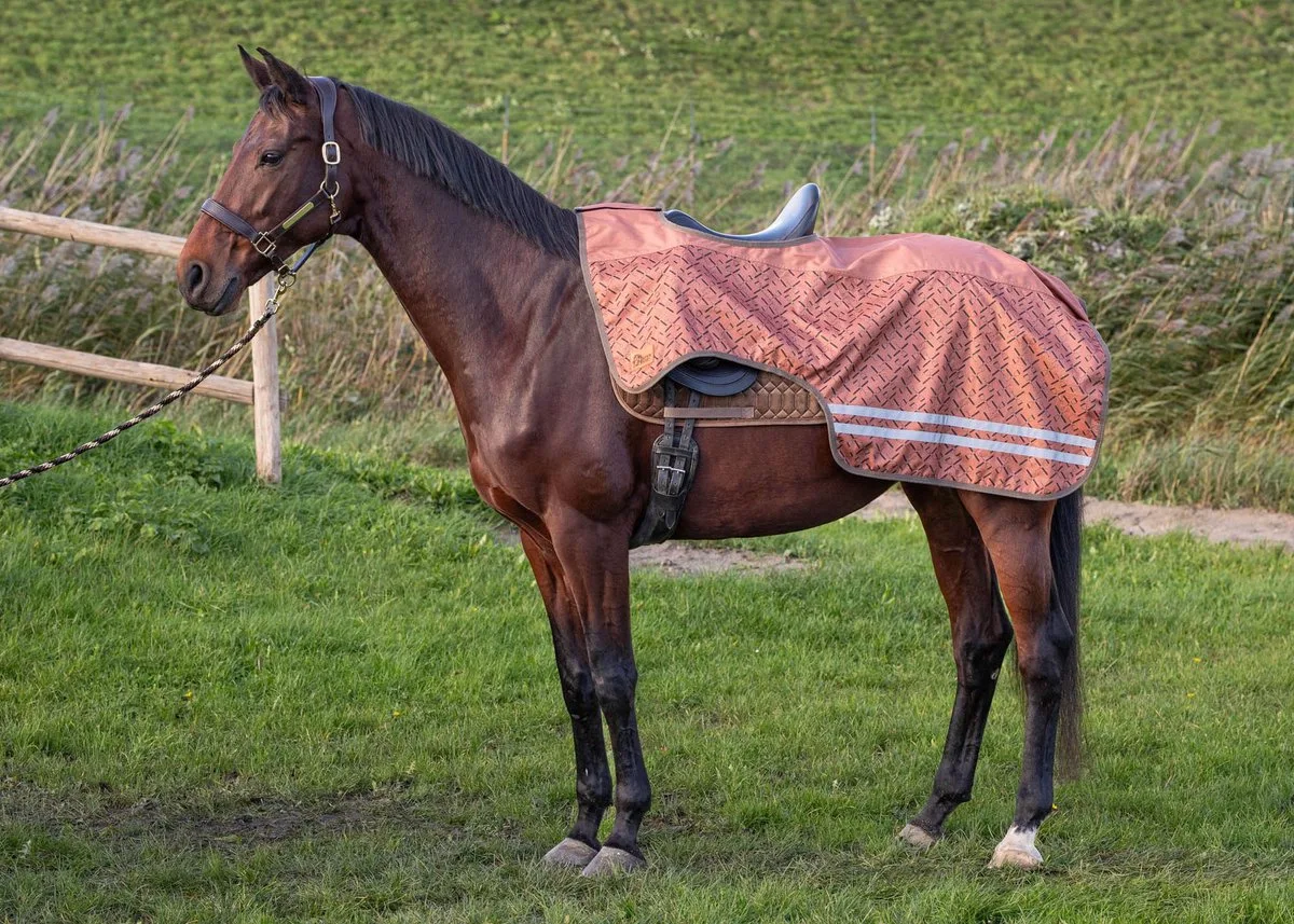 Uitrijdeken Waterdicht 0gr Fleece WI24 - Bijna Uitverkocht! von Harry's Horse in Braun – Produktfoto